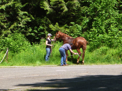 There are 3.5 miles of horse trails. There is a hose to spray down horses in parking lot
